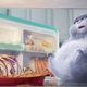 Illustration for article titled Weekend Box Office: Rampaging pets bust rebooted ghosts